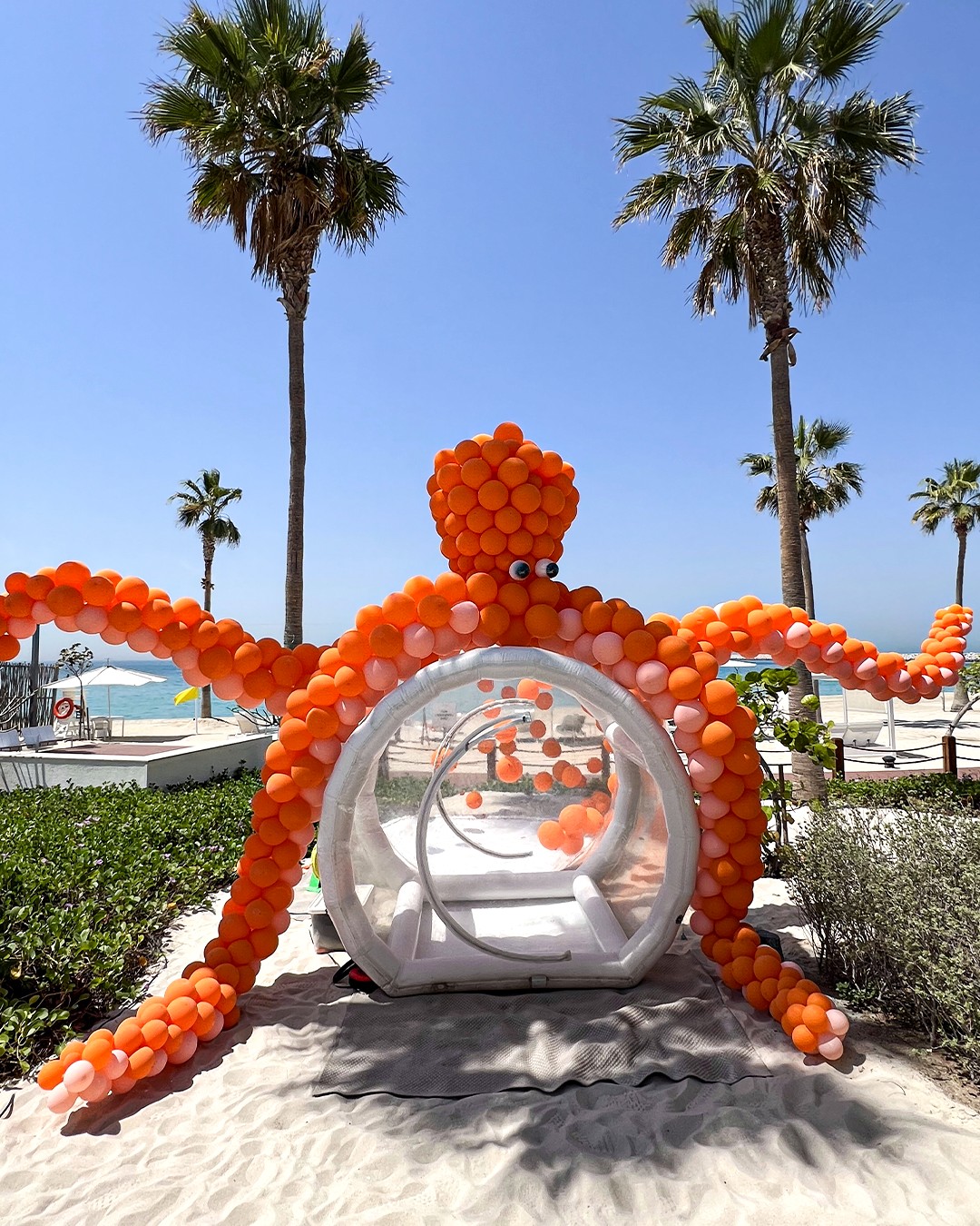 SEEN Events Portfolio - Event 22